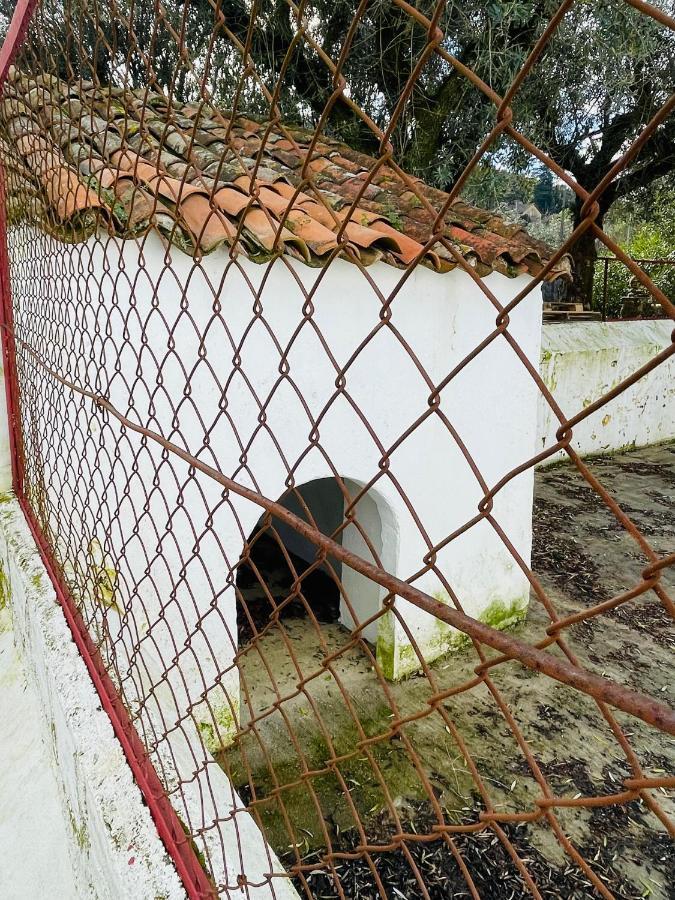Casa Do Martinho Casa de hóspedes Castelo de Vide Exterior foto